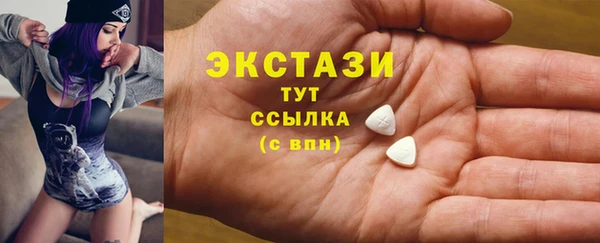 крисы Надым