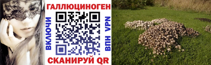 Псилоцибиновые грибы Psilocybe  цена наркотик  Александровск-Сахалинский 